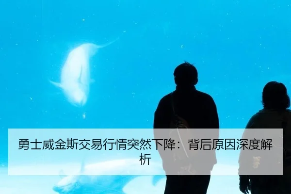 勇士威金斯交易行情突然下降:背后原因深度解析